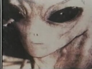 Vérité Caché,Camouflage 2 de 2