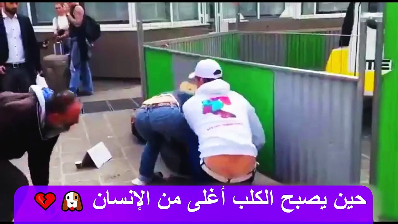 عدالة غريبة كلب يُنقذ ورجل يُنسى! ⚖️