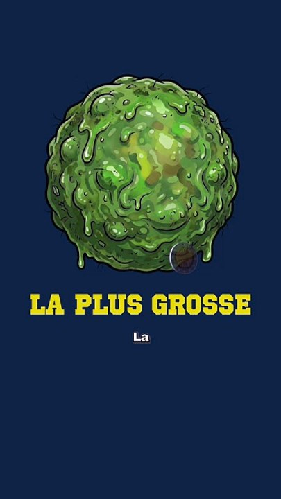 Qui a la plus GROSSE crotte de nez ? #elephant #nez #science #animaux #nature