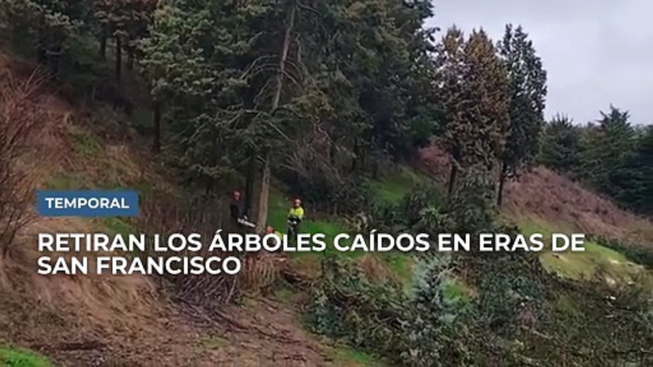 Árboles