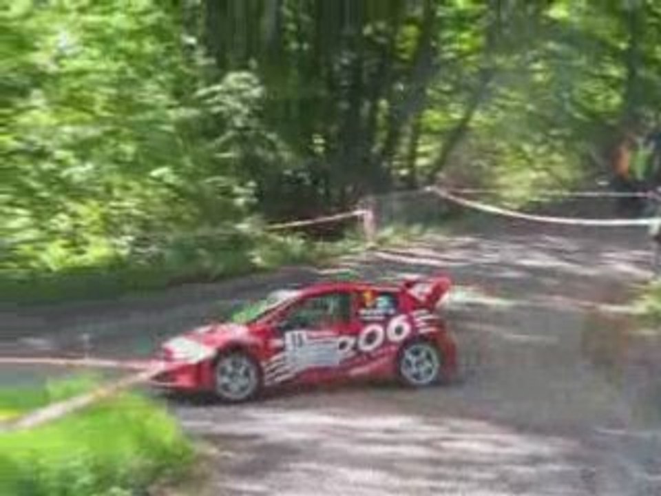 Rallye Alsace-Vosges 2008 ES 11 PART 1
