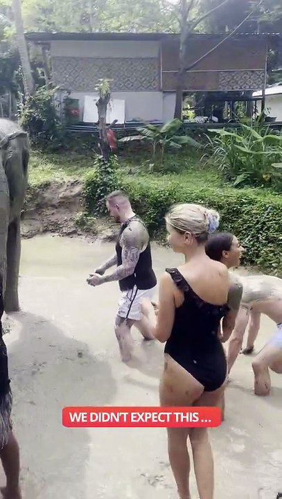 Elephant Throws Mud at Us Out of Nowhere 😅 || ViralID