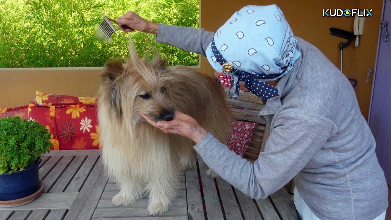 2- Concours janvier 2026 - toillette de nos BP