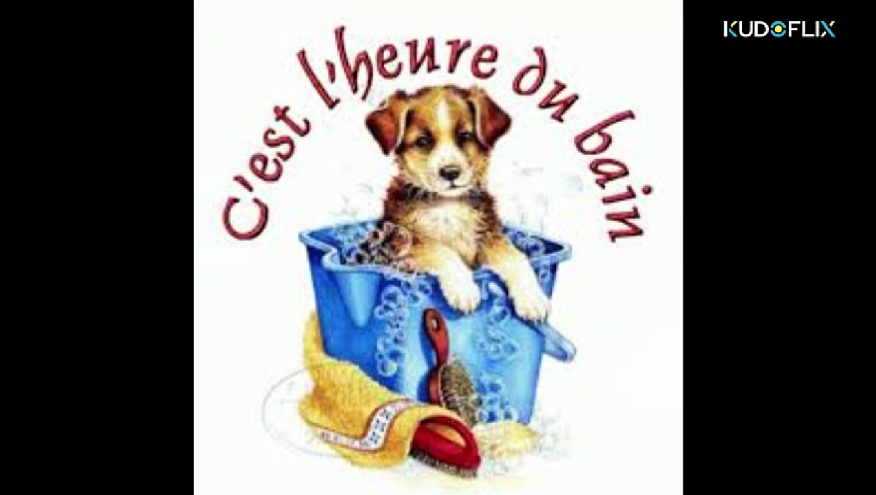 1- Concours janvier 2026 -  toillette de nos BP