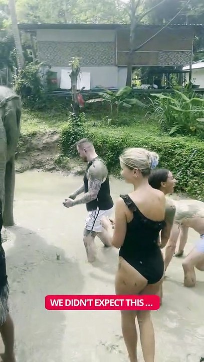 Elephant Suddenly Flings Mud at Us 😅 || ItsNowViral