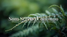 Som Sereno Contínuo | Música Relaxante para Ambiente Tranquilo
