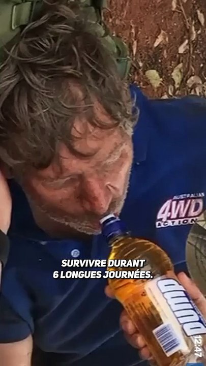 Il mange des fourmis pour survivre