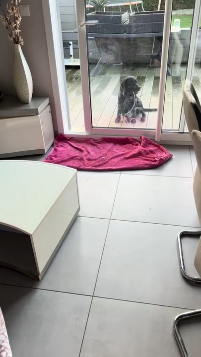 Moi c’est Aiko et j’arrête pas de faire des bêtises 😅😅