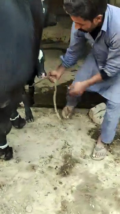 video_20260204_172423