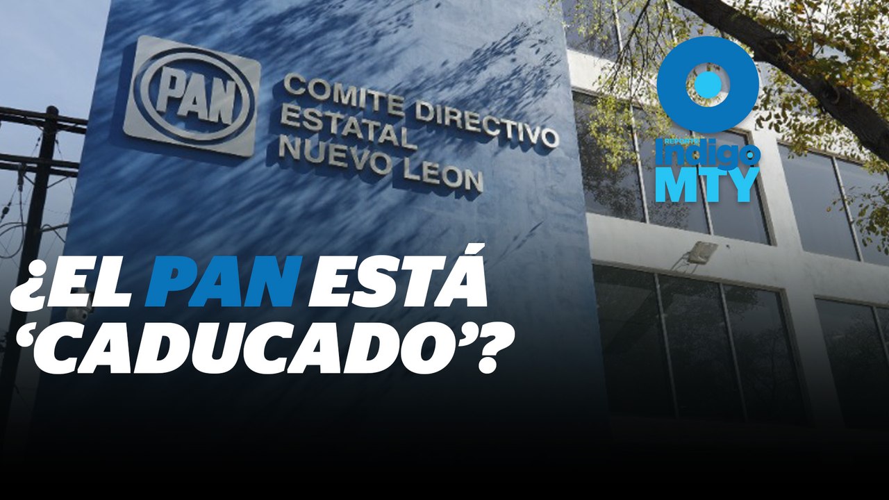 ¿Hay crisis al interior del PAN? | Reporte Indigo
