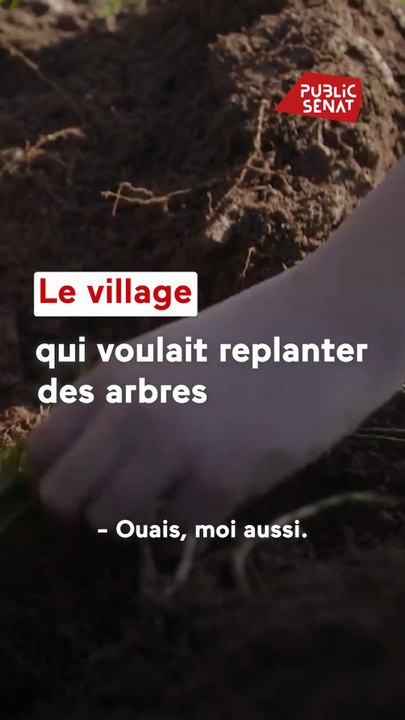 "On replante, pourquoi ? Parce qu'on a fait des conneries"