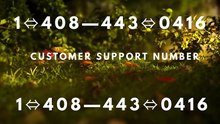 ≋ Base® {Help Desk Wallet SuppoRt}™ — Toll-Free Numbers & Support Options