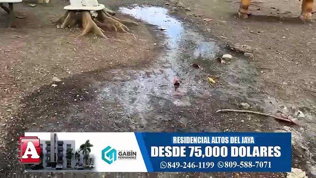 Denuncian desborde de aguas negras afecta docencia en escuela de SFM