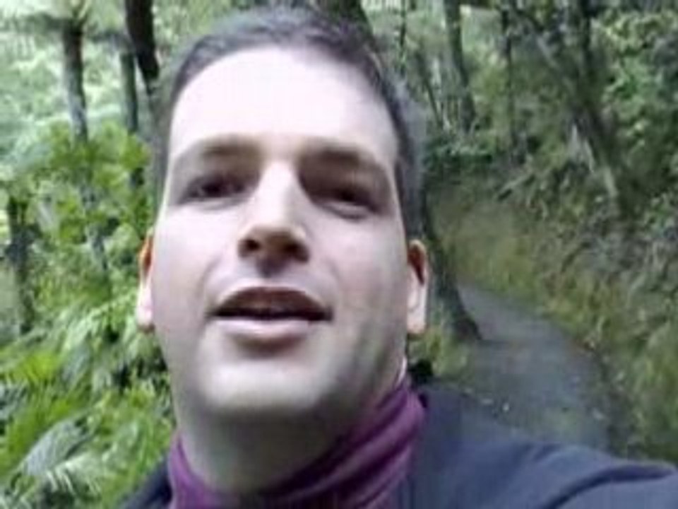 Jump In #24: Flashmobbing and Generation C