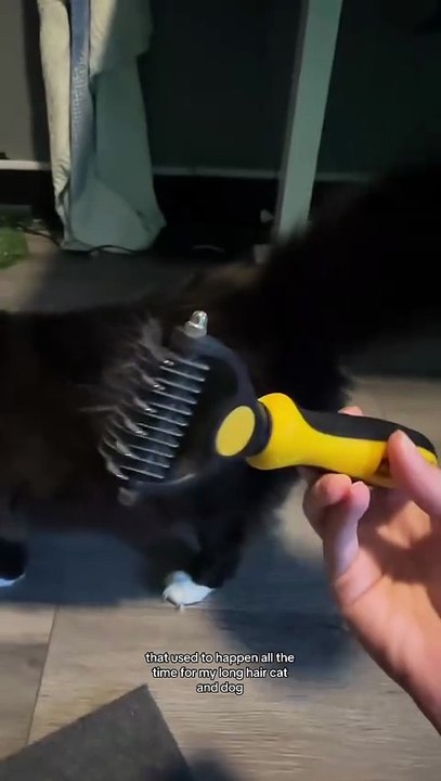 Pet Stainless Steel Hair Removal Comb