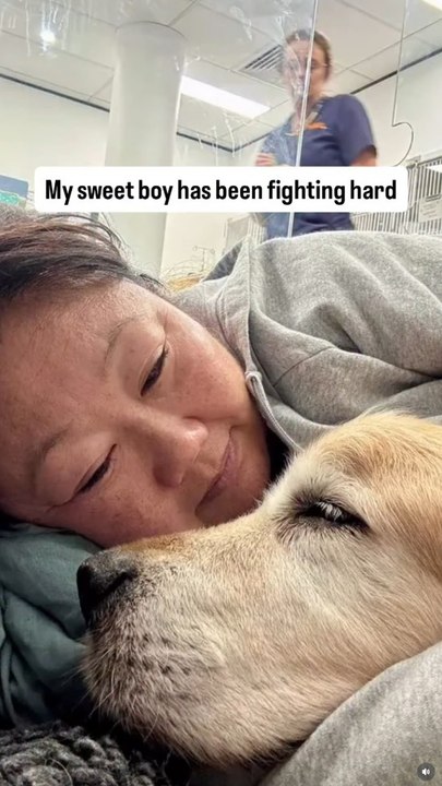 RecipeTin Eats founder Nagi Maehashi 'taking time away' in sad update about dog Dozer