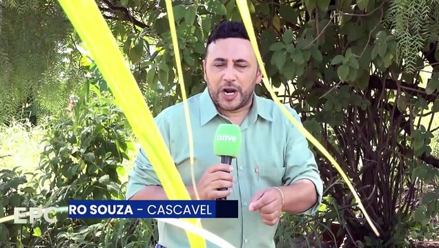 Moradores reclamam de sujeira em terreno onde será construído colégio estadual