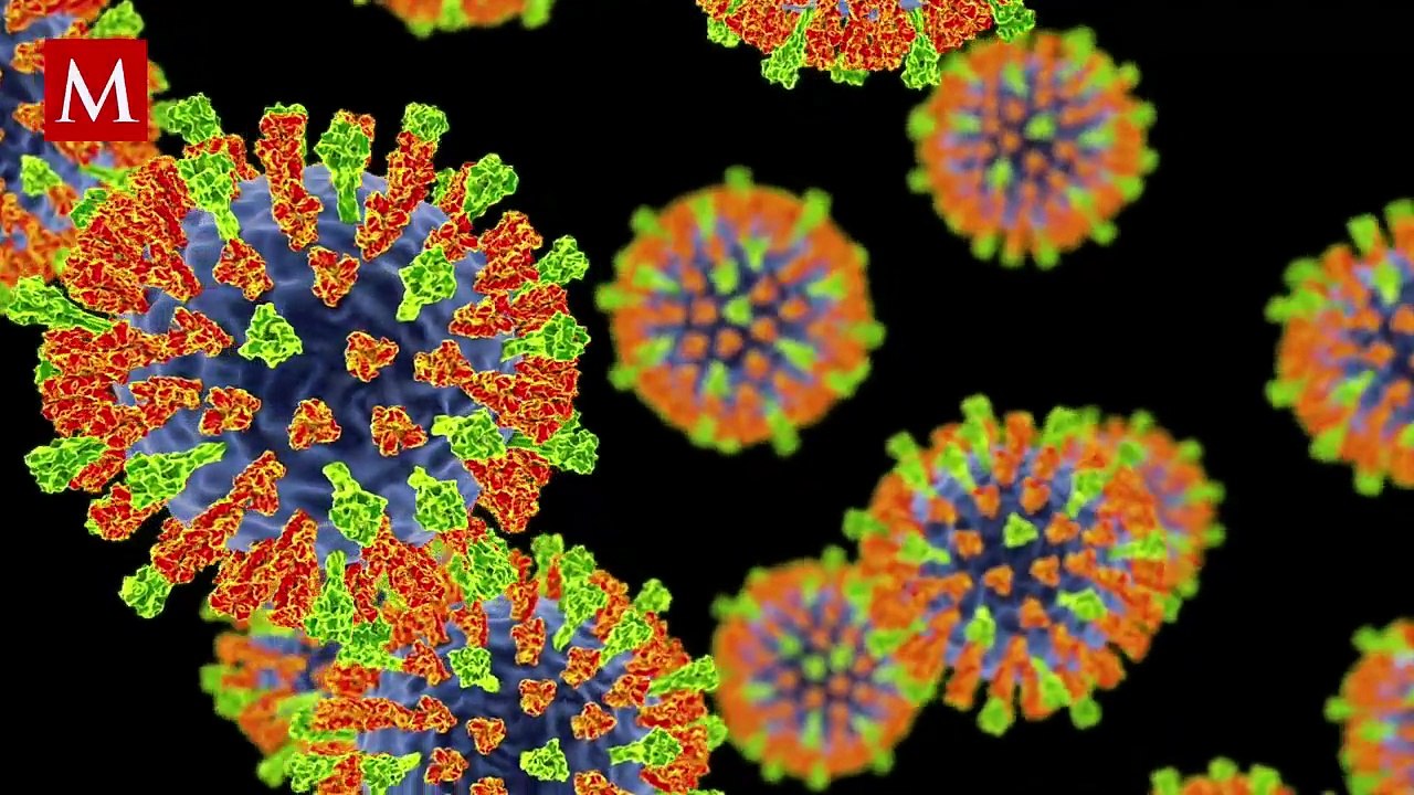 Aumentan los casos de sarampión en México: ¿cuáles son los síntomas y tratamientos?