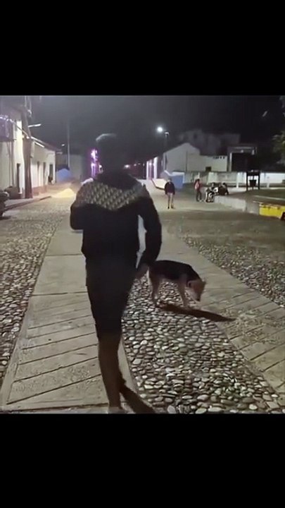 Try Not To Laugh 😂🤣