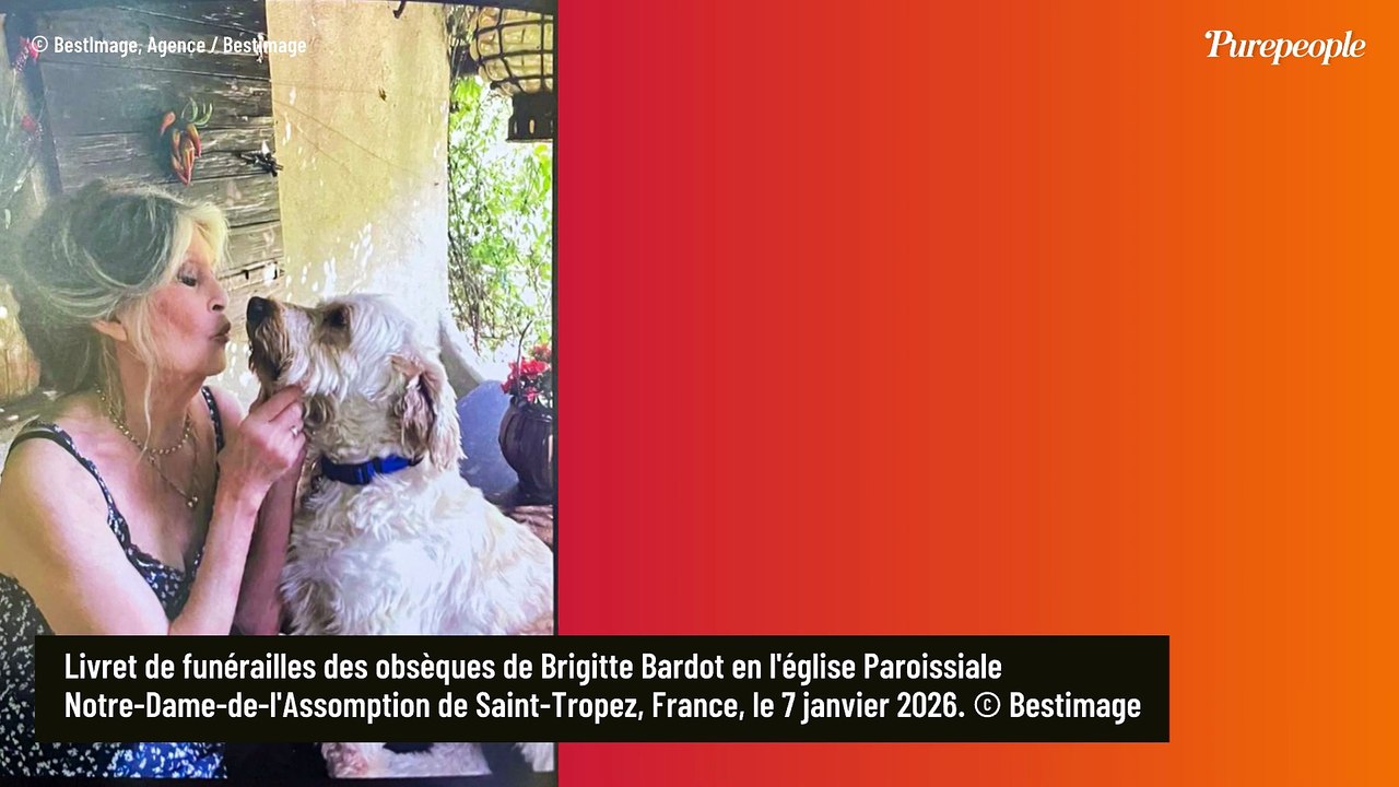 Brigitte Bardot n'a pas fait don de tout ce qu'elle possédait à son association, il lui restait quelques biens de grandes valeurs avant son départ