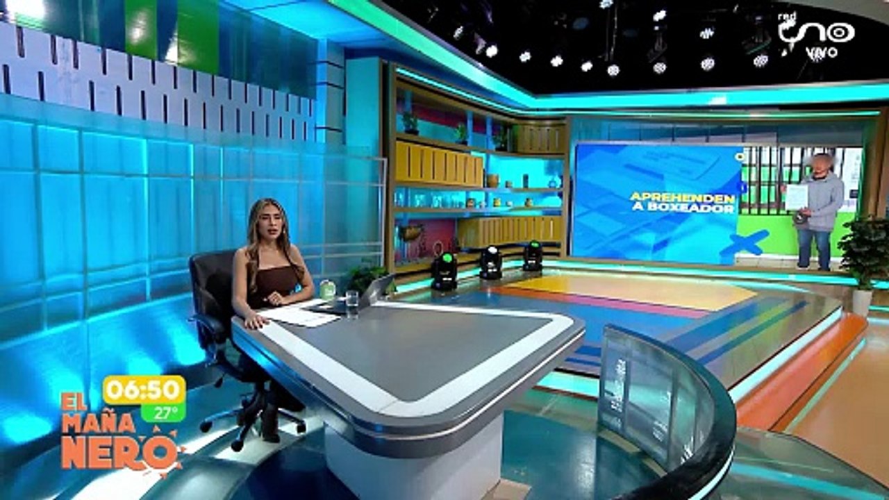 Aprehendieron a 3 boxeadores