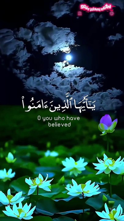 Quran#Quran tilawat#islami #viral shots #islami shots video #tilawat#