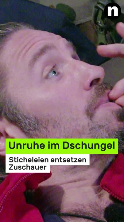 No Glomex Dschungelcamp 2026: Unruhe im Dschungel - Sticheleien entsetzen Zuschauer