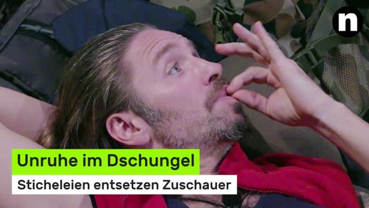 Dschungelcamp 2026: Unruhe im Dschungel - Sticheleien entsetzen Zuschauer