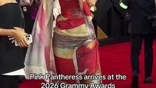 Pink pantheress arriving at the Grammy
