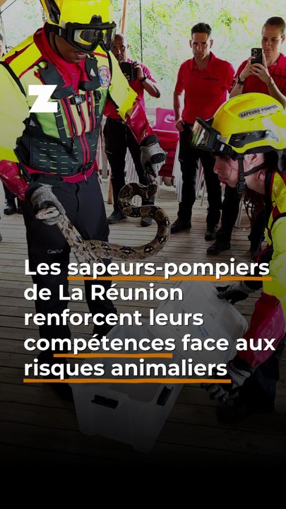 Les sapeurs-pompiers de La Réunion renforcent leurs compétences face aux risques animaliers
