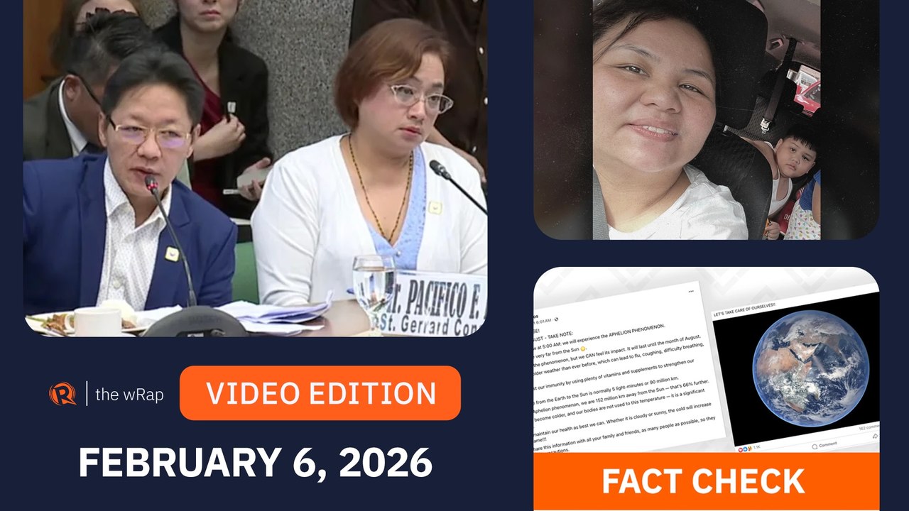 COA flags P300-M road, bridge works by Discaya firm | The wRap