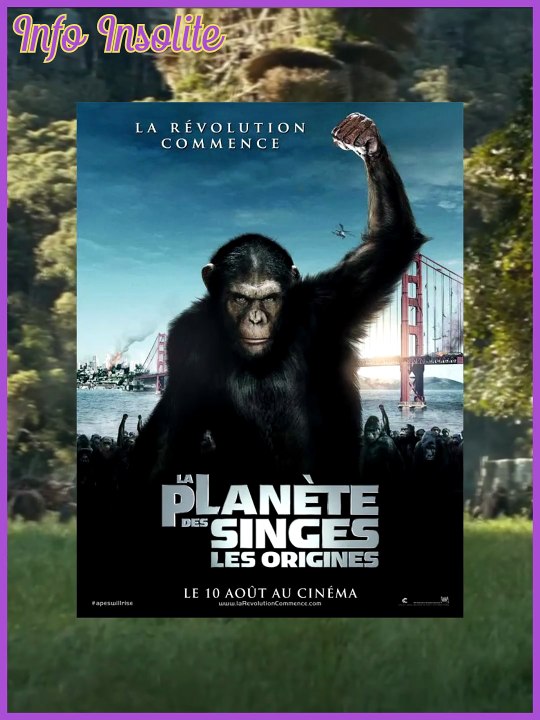 Le Blu-ray atypique de La Planète des singes