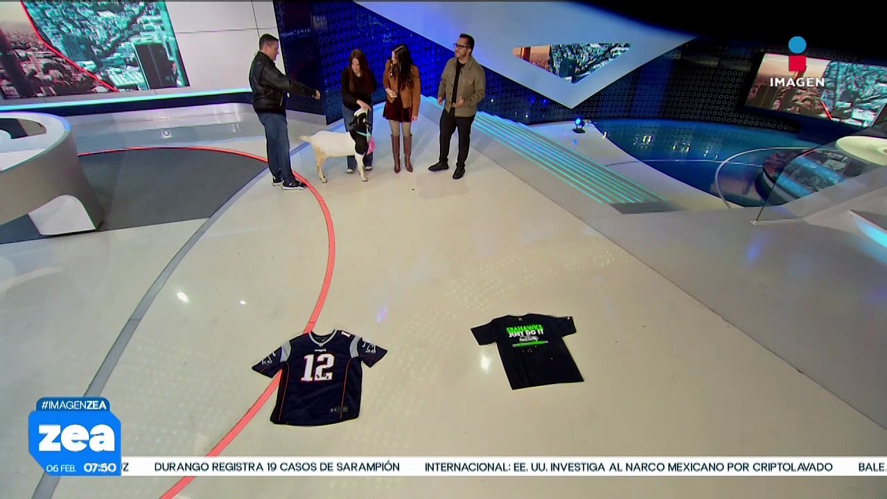 La cabra Heidi predice quién ganara el Super Bowl LX