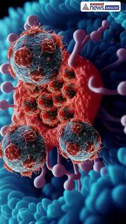 Cancer Surgeries Destroying Body’s Defense Against Cancerous Tumors?