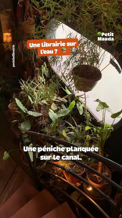 Une librairie botanique… sur l’eau ⛴️➡️ Allez découvrir tous nos articles sur [petitmauda.com](http://petitmauda.com/)©️ Crédit : @petitmauda🎁 Tous nos bons plans à retrouver en bio ! ❤️‍🔥👉🏻 Abonne-toi au Petit Mauda pour plus d’inspiration ! 🌳