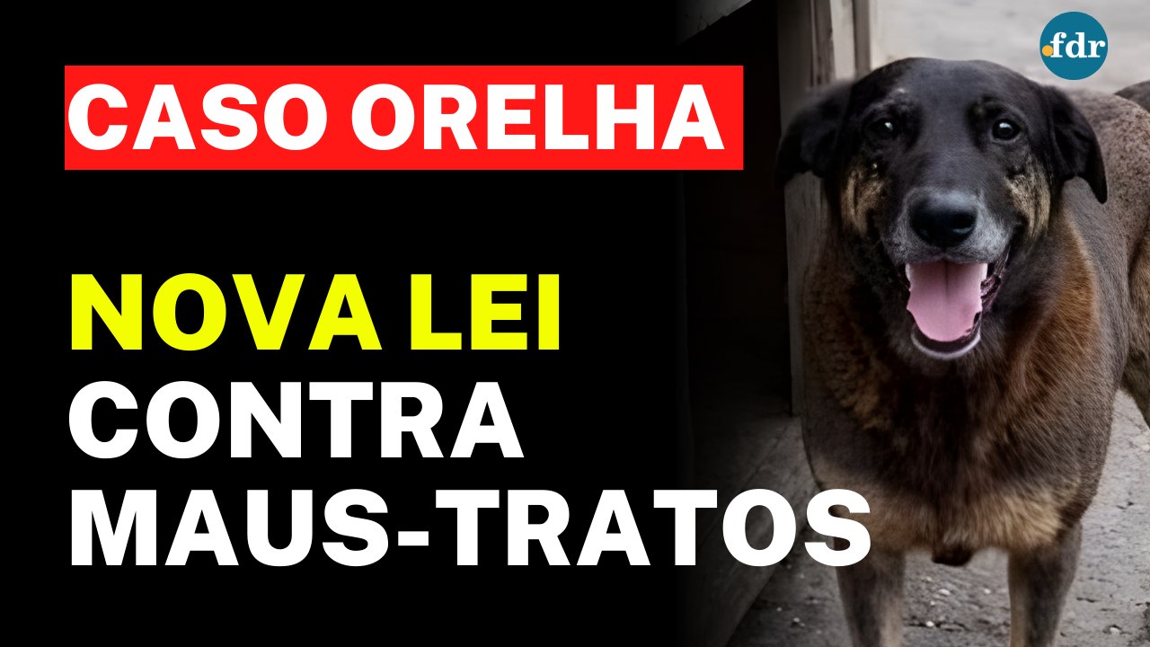 CASO CÃO ORELHA: NOVA LEI contra maus-tratos e o RG obrigatório para animais
