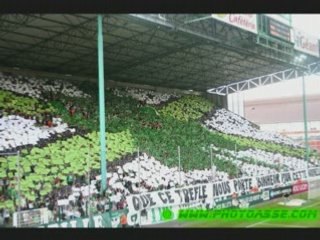 Les plus beaux tifos de l'ASSE
