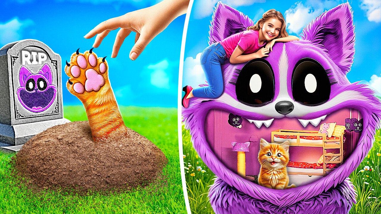 🧽😻✨ From Sponge to Cat 😮 Stress Relief DIY