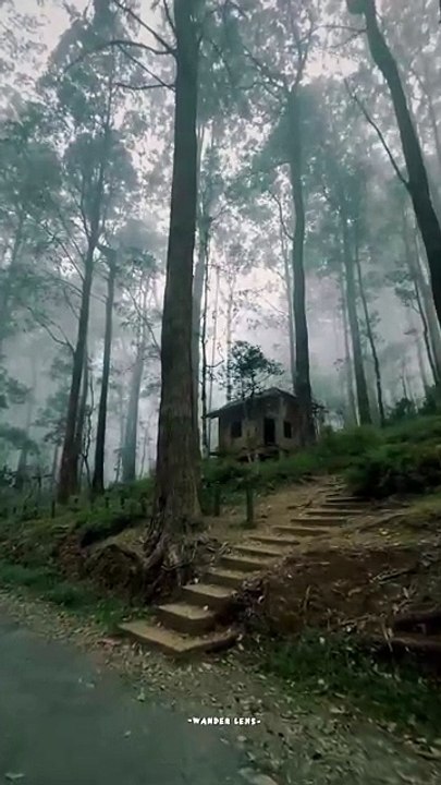 VID-2026020hills house 🏠🏡