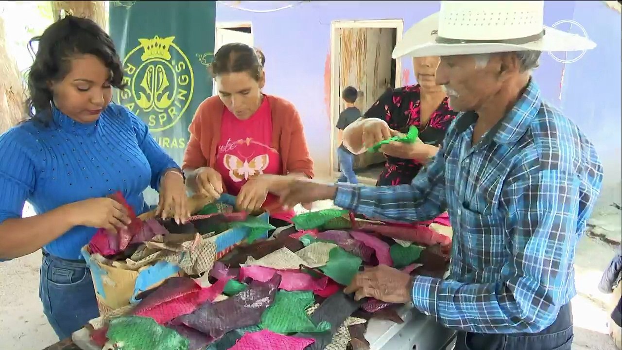 Porque Nos Importa - Proyecto de cuero sostenible de piel de pescado - 6 de febrero 2026