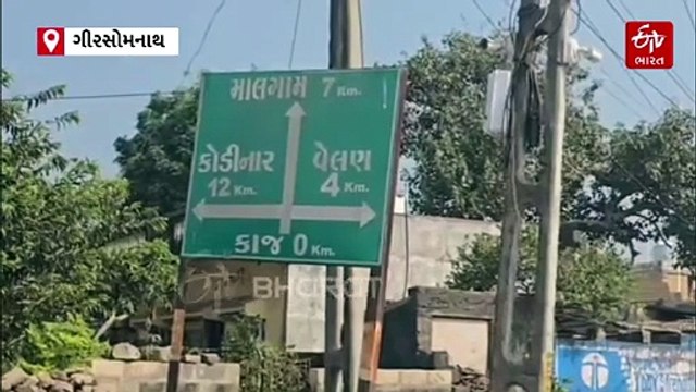 ખેતરમાં મુકેલા વીજ કરંટથી ડાલામથ્થાનું મોત, ગીર સોમનાથ જિલ્લાના કાજ ગામની ઘટના, ખેડૂતને જેલ