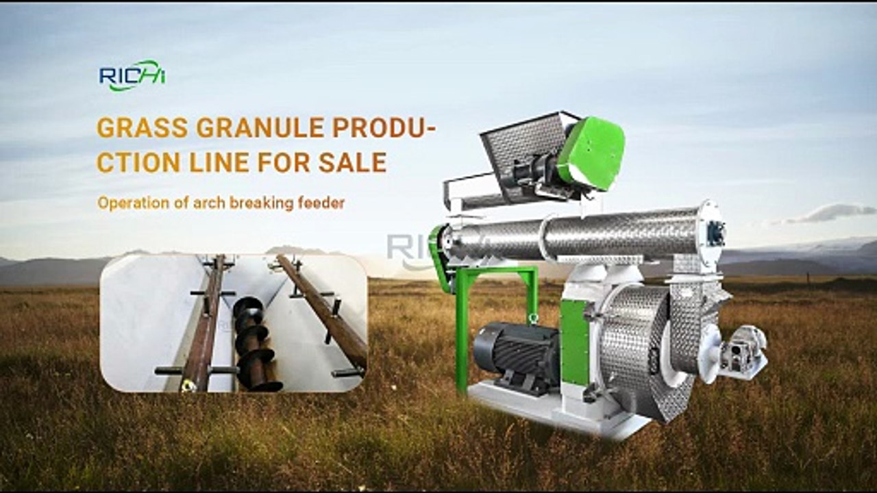 Anti-Bridging Feeder for Pellet Production Line | Stable & Continuous Material Feeding