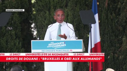 Éric Zemmour : «On devrait le protéger, notre marché commun»