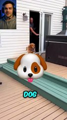 She Lost Her Puppies… Then This Surprise Changed Everything 😭❤️