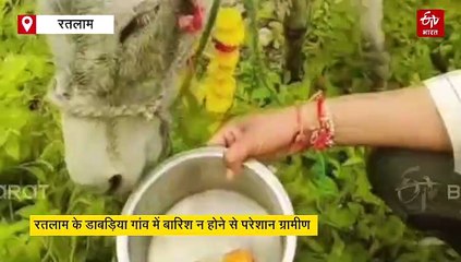 रतलाम के इंद्रदेव को मनाने का सुपर प्लान, गांव वालों ने गधे को दी गुलाब जामुन पार्टी
