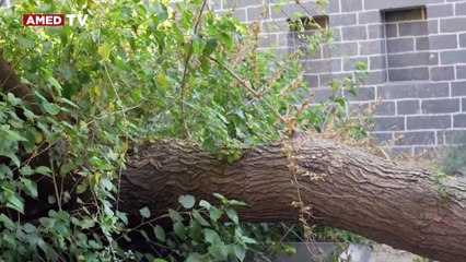 Diyarbakır’ın Sur ilçesinde sözler tutulmadı; Yurttaşlar mağdur