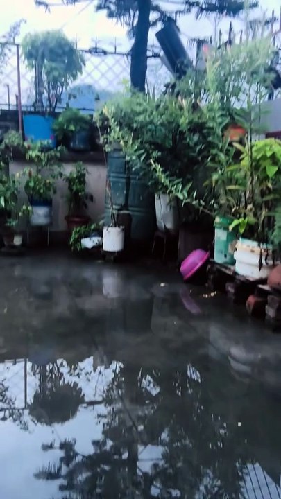 After Rain