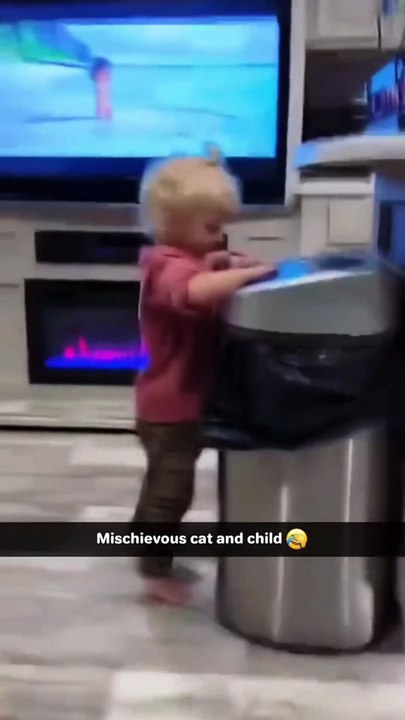 Kitten: Just Wait, I'm Suing You!🤣🤣🤣