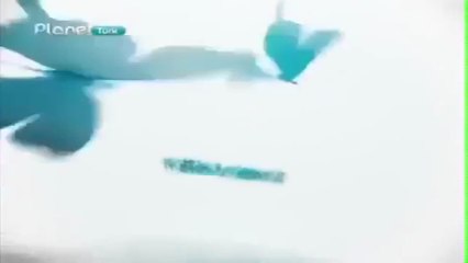 Filiz Akın Bekarlık Sultanlıktır (1963) Komedi