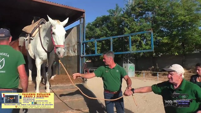 1 encierro 2025, Toro hierro hermanos Sampedro.